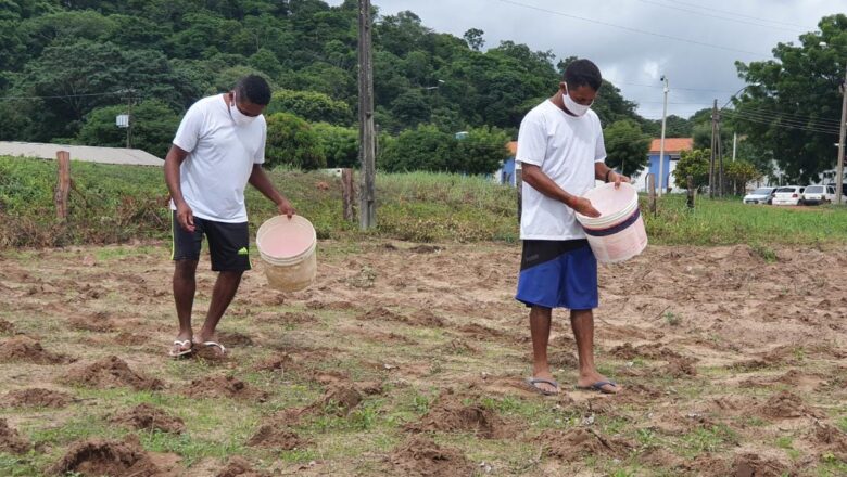 Detentos trabalham na plantação de milho e reformas de prédios públicos