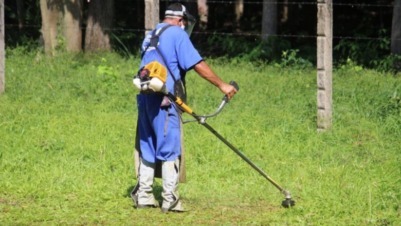 Internos da Major César trabalham na limpeza da Floresta dos Palmares
