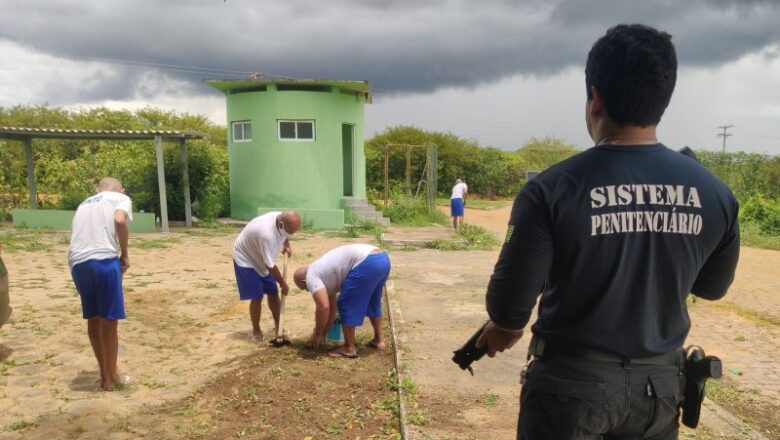 Casa de Detenção Provisória em São Raimundo Nonato é referência no Piauí