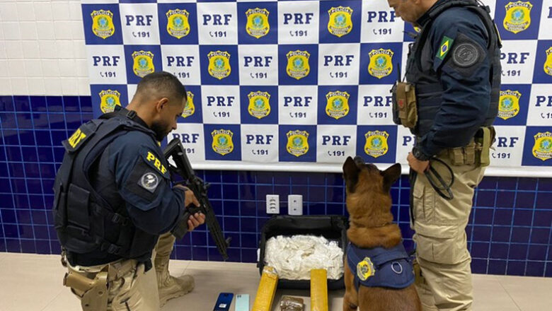 PRF apreende mala com drogas avaliadas em mais de R$ 255 mil despachada em ônibus