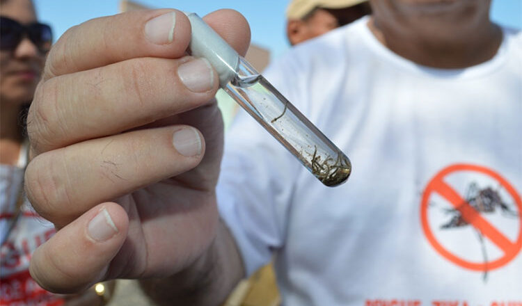 Piauí enfrenta nova epidemia de dengue e Sesapi faz alerta para municípios