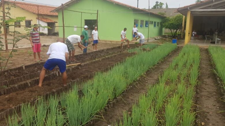 Reeducandos da Penitenciária em Esperantina concluem cursos ofertados pela Sejus e Senar