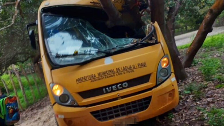 Ônibus escolar com 10 crianças colide em árvore no município no Piauí