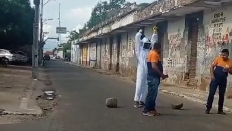 Enxame de abelhas provoca pânico em avenida de Campo Maior