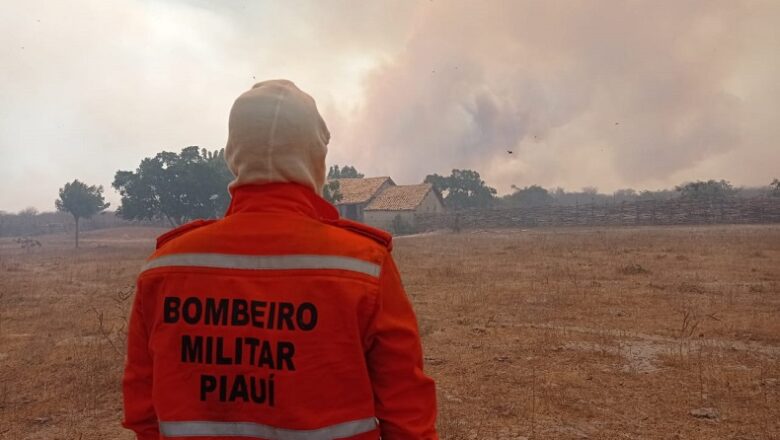 Piauí registra aumento de focos de queimadas e ocupa 3ª colocação no Nordeste