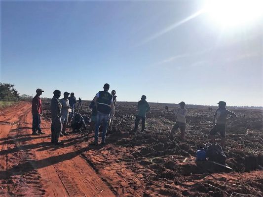 Piauienses são resgatados em situações análogas à escravidão no MS