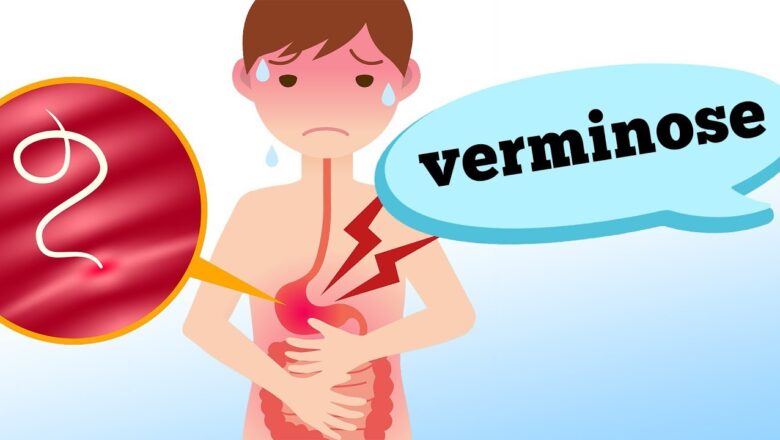 Estudo alerta para urgência de novos tratamentos contra verminoses
