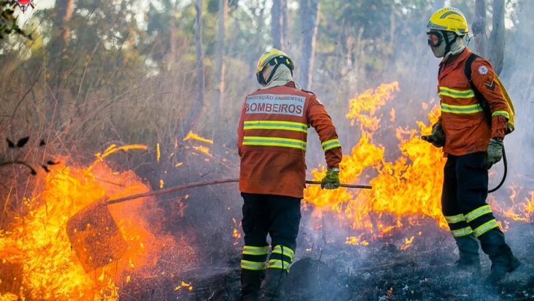 Focos de queimadas crescem 119% e Piauí termina julho em 7º lugar no Brasil