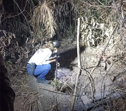 Ossada humana é encontrada carbonizada em cova na zona Norte de Teresina