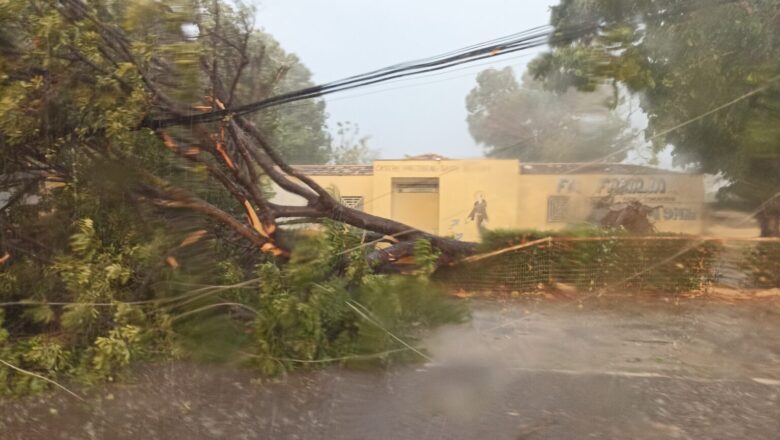 Chuva com fortes ventos causa estragos em Piripiri