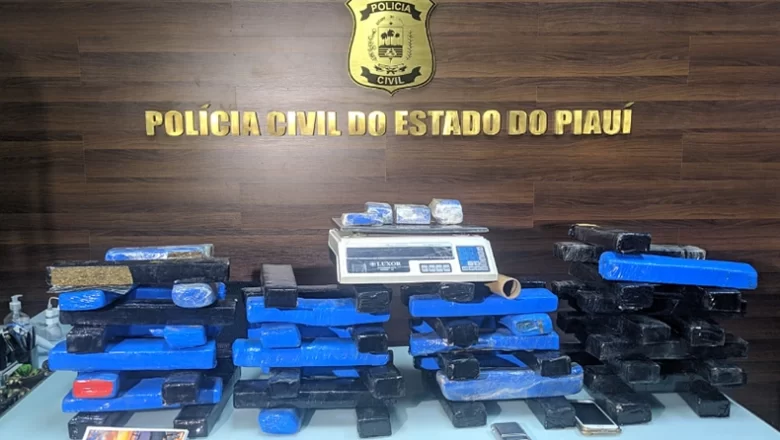 Polícia apreende 62 tabletes de maconha avaliados em R$ 120 mil em Teresina