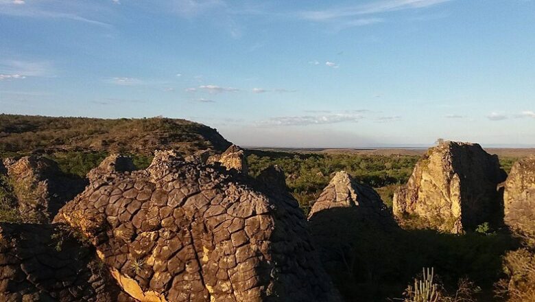 Parque Sete Cidades é o local com mais ocorrências extraterrestres no Piauí, diz ufólogo