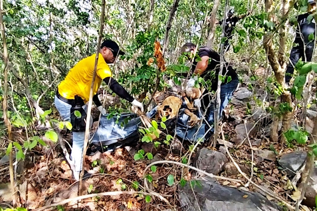 Ossada humana é encontrada em matagal na zona rural de Cocal, norte do Piauí