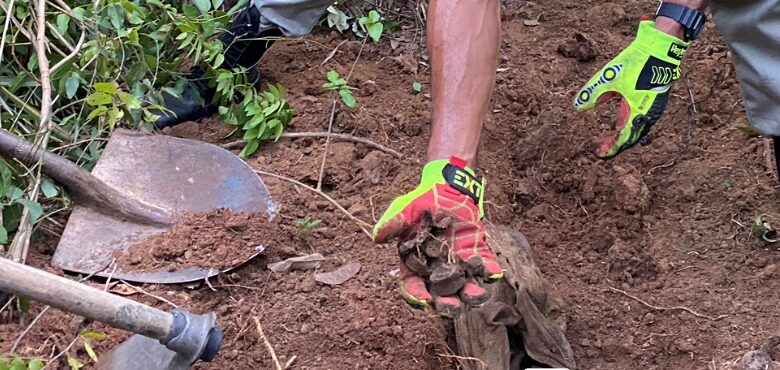 Ossada humana é encontrada em Piripiri