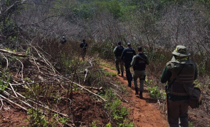 Operação prende cinco pessoas por desmatamento ilegal em área indígena no Piauí