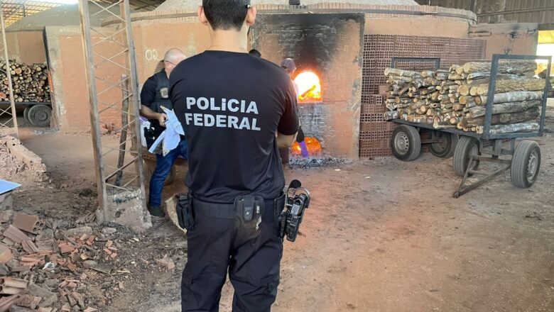Polícia Federal incinera drogas apreendidas em operações no Piauí