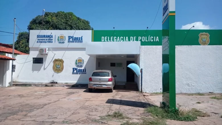 Mulher é baleada e esfaqueada pelo ex-companheiro em Luzilândia