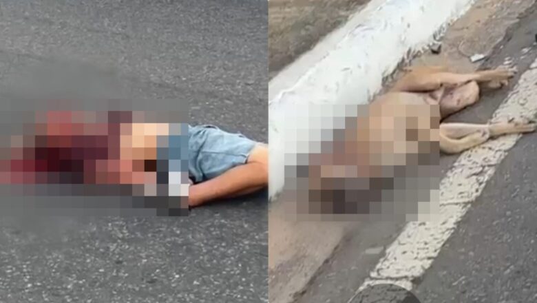 Idoso e cachorro morrem atropelados durante caminhada em Parnaíba