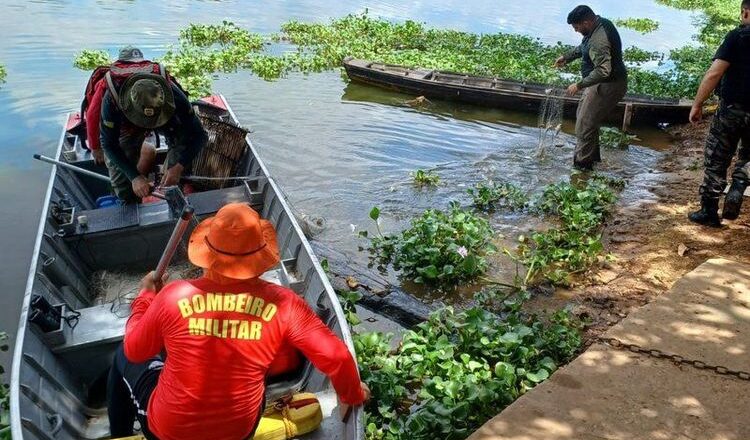 Semarh alerta para pesca ilegal na piracema e reforça fiscalização em rios piauienses