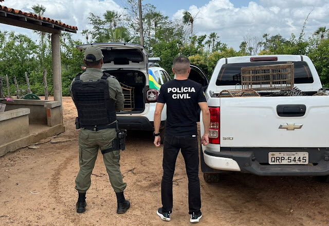 Homem é preso e vários animais silvestres foram apreendidos na zona rural de Murici dos Portelas