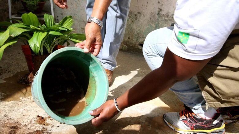 Explosão de casos de dengue exige prevenção e cuidados da população