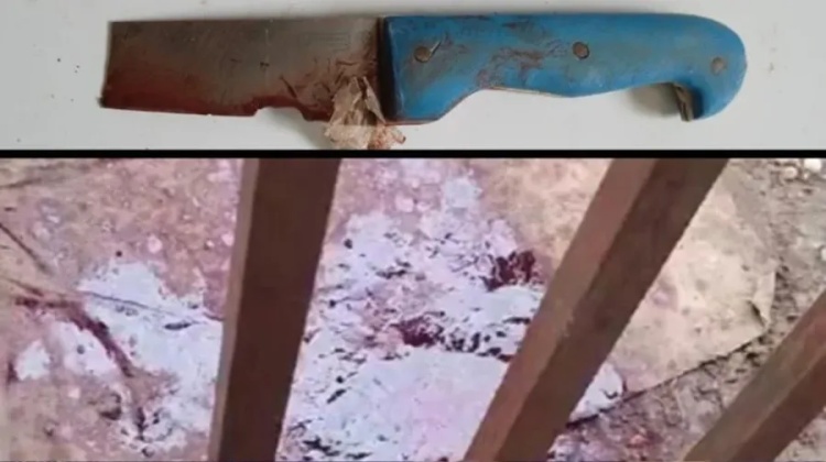 Homem é preso acusado de matar a facadas dois pitbull em Valença