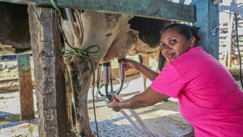Com R$ 3,75 milhões, Programa de Aquisição de Alimentos voltado à produção de leite será lançado na segunda (8)