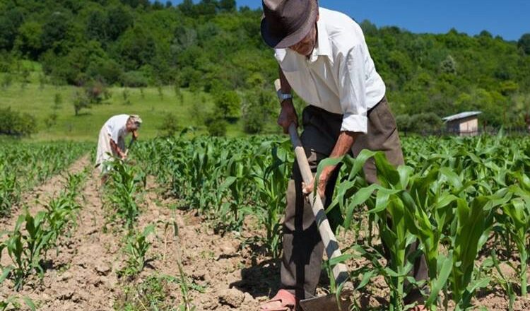 Agricultores de mais 30 municípios do Piauí serão beneficiados com pagamento do Garantia Safra