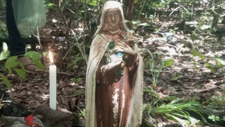 Aparição de imagem de Santa Teresinha atrai centenas de fiéis em José de Freitas