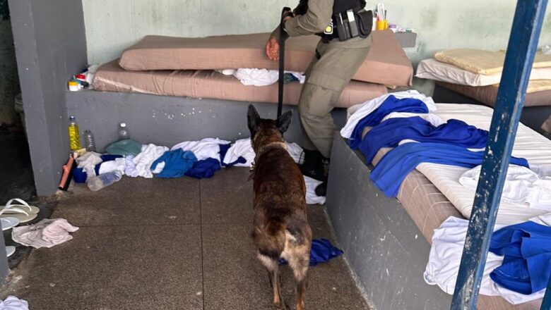 Polícia Penal realiza vistorias nas unidades prisionais durante Operação Cidade Verde