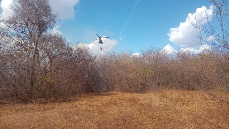 Bombeiros Militares combatem incêndio de grande proporção em Campo Maior