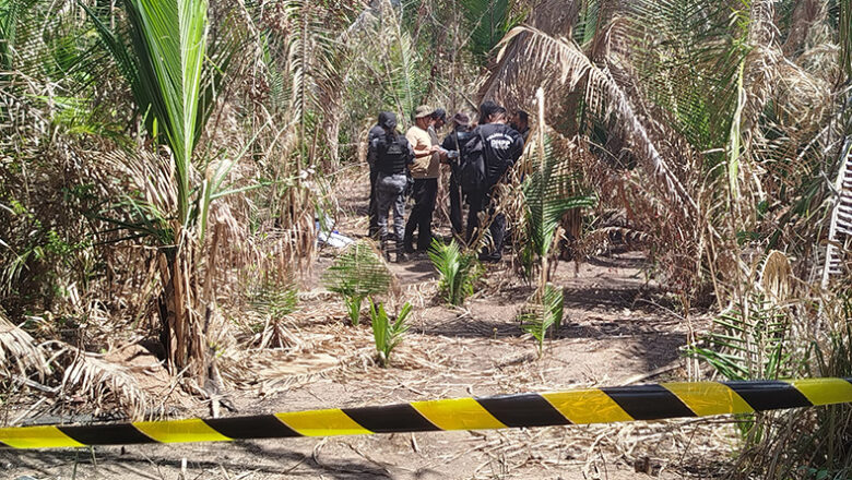 Corpos são encontrados em cova rasa na zona Norte e podem ser de irmãs desaparecidas