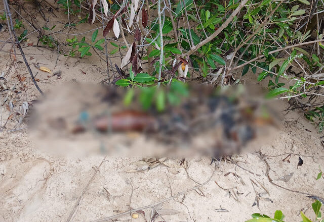 Dois corpos foram encontrados em estado de decomposição em Parnaíba