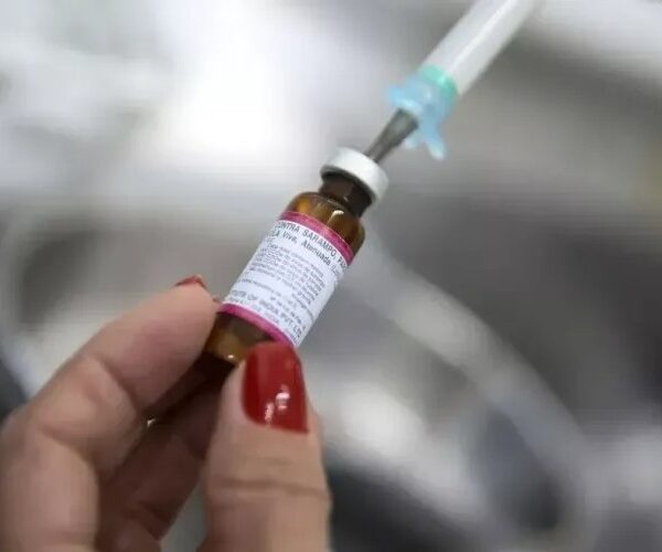 Piauí lidera vacinação contra a influenza no Brasil com 47% de cobertura