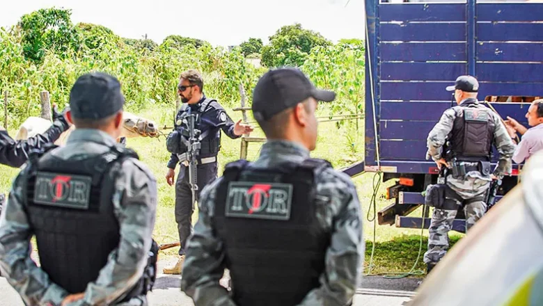 Operação “Porteira Fechada” autua criadores por deixar animais soltos e faz apreensões no norte do Piauí