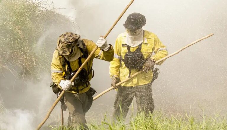 Governo federal anuncia expansão de brigadas para combate a incêndios no Piauí
