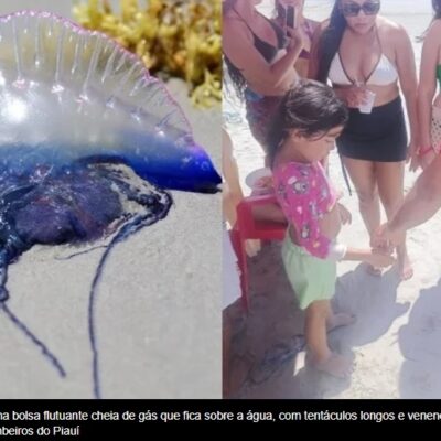 ALERTA! Caravelas deixam 4 feridos e bombeiros reforçam cuidados no litoral do Piauí