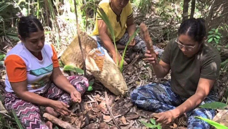 Quebradeiras de coco de Miguel Alves vão criar primeira fábrica de sabonetes artesanais feitos com óleo de coco babaçu