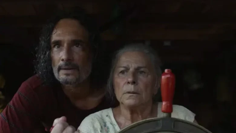Público de filmes brasileiros no cinema cresce e chega a 11,2% em 2025