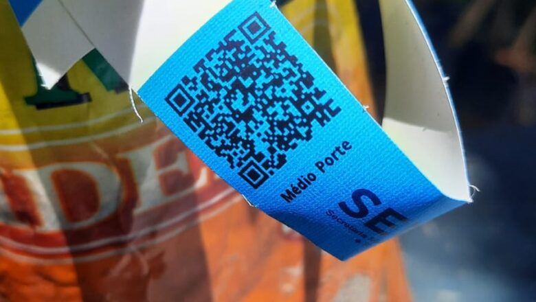 Projeto de plantio de mudas por QR Code amplia arborização de Teresina; entenda