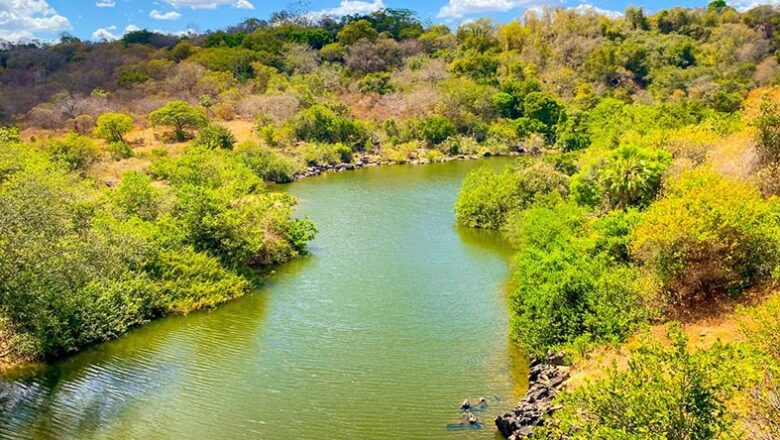 Piauí embarga 115 áreas de desmatamento ilegal do Cerrado e aplica R$ 42 milhões em multas