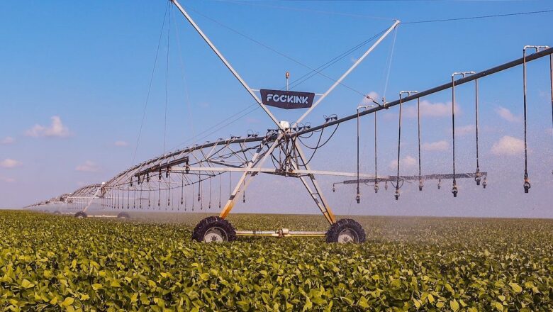 Agronegócio: Piauí tem cinco municípios entre os maiores produtores do Nordeste