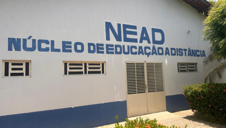 Uespi abre processo seletivo para professores na modalidade a distância