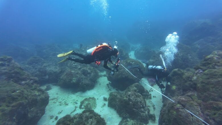 Cientistas buscam no mar respostas sobre o adoecimento do planeta
