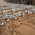 Idepi investe mais de R$ 371 mil na pavimentação em paralelepípedo em Paquetá do Piauí