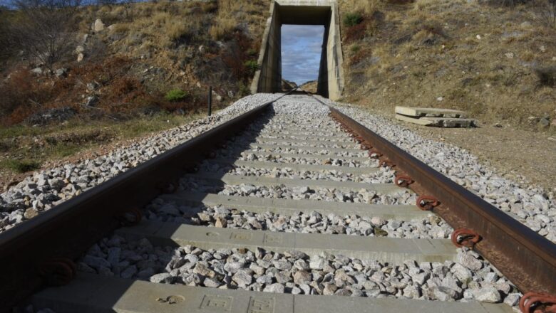 Governo solicita reativação de trecho da Transnordestina para transporte