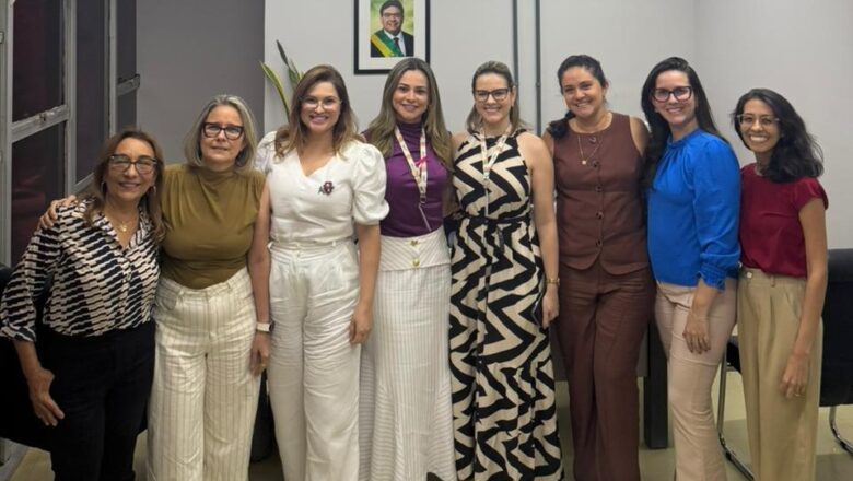 Lei que garante reserva de vagas a mulheres em situação de violência é discutida em reunião entre Sempi e Sead