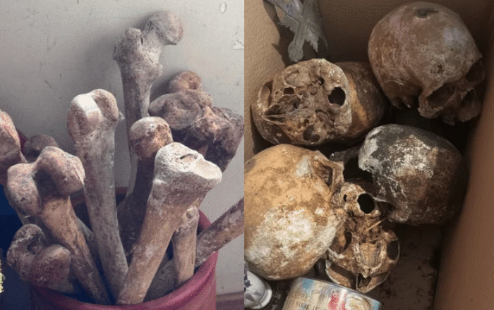 Crânios e outros ossos humanos são encontrados em apartamento de SP