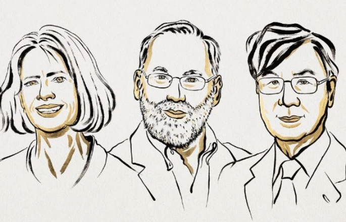 Trio responsável por estudo sobre controle imunológico vence Nobel de Medicina