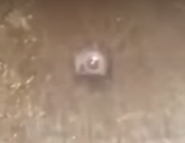 Alunos denunciam câmera escondida em banheiro de escola no RJ